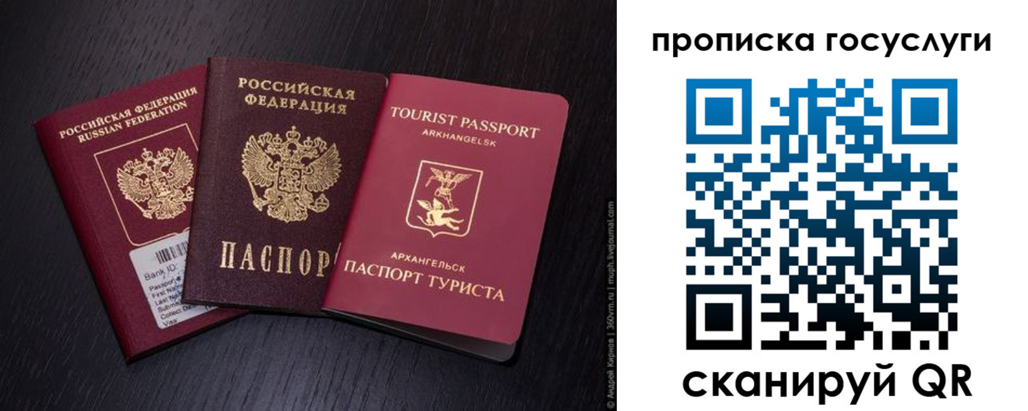 прописка 2025 в Электрогорске
